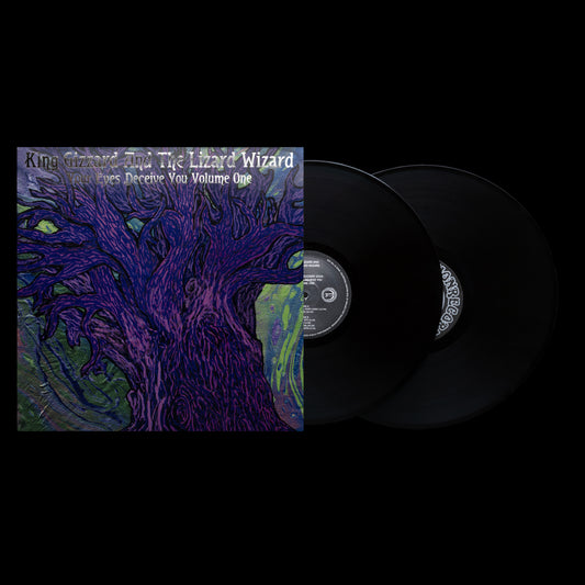 KING GIZZARD AND THE LIZARD WIZARD - ESSENTIAL GIZZARD 2024: YOUR EYES DECEIVE YOU, VOLUME ONE