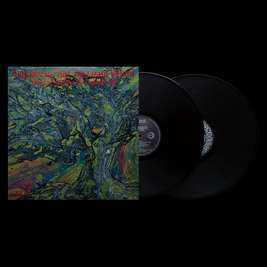 KING GIZZARD AND THE LIZARD WIZARD - ESSENTIAL GIZZARD 2024: YOUR EYES DECEIVE YOU, VOLUME TWO