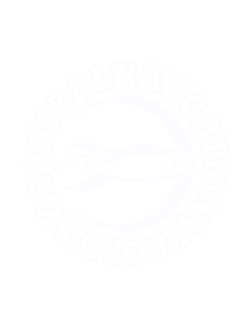 ASTRAL NAVIGATION RECORDINGS