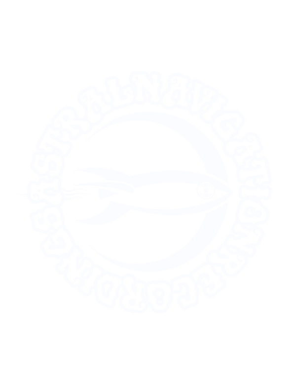 ASTRAL NAVIGATION RECORDINGS